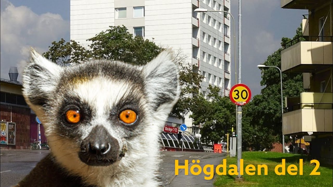 Minnenas kvarter besöker Högdalen igen.