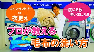 【3分でわかる】コインランドリーで毛布の洗い方【プロが教える】