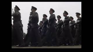 Ork Djipson-Bataliona Se Stroqva