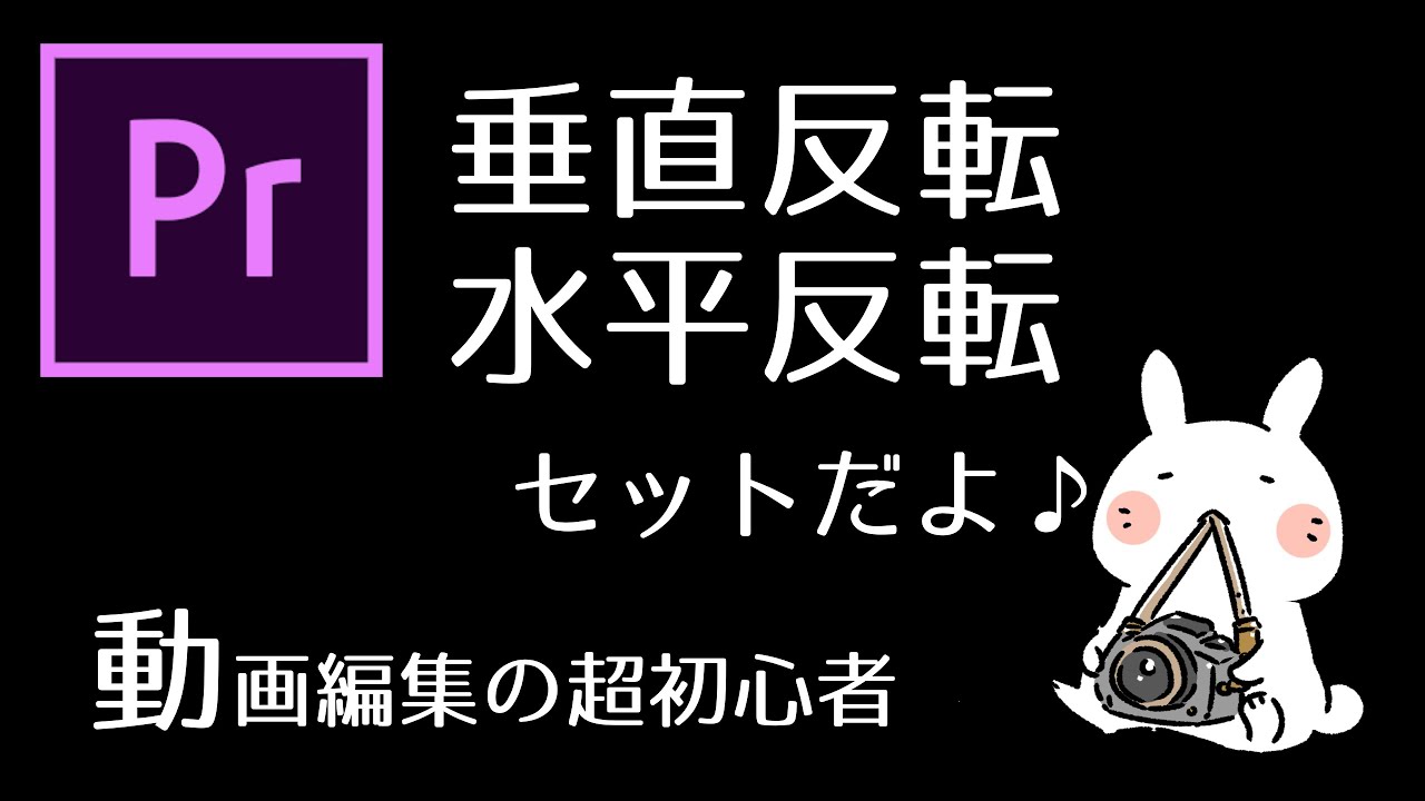 垂直反転と水平反転の方法と注意点 上下反転 左右反転 とにかく回転したい Adobe Premiere Pro Rabbit Editor Youtube