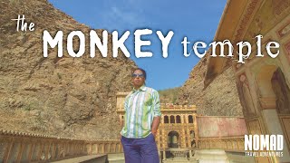 Monkey Temple in Jaipur | Leaving India Jaipur Travel Vlog