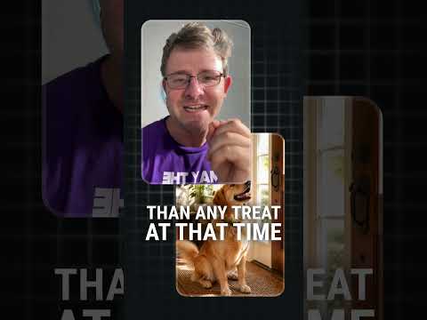1 Major Mistake that can hinder your dog’s training #dogtraining #puppytraining