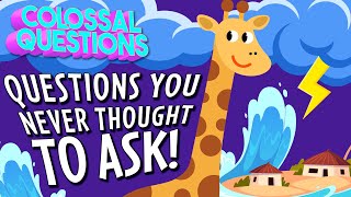 Questions You Never Thought to Ask! | COLOSSAL QUESTIONS by Colossal Cranium 86,124 views 3 months ago 18 minutes