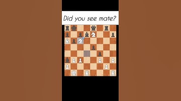 ‼️ Just a Knightmare 🐻‍❄️