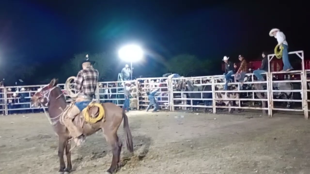 Alexander Colunga vs rey misterio San Isidro laborcilla santa María del rio 26 Dic 2025