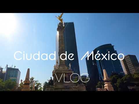VLOG | CDMX: Ardillas, tacos y Vincent Van Gogh
