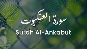 سورة العنكبوت للشيخ علي البراق | المصحف المرتل