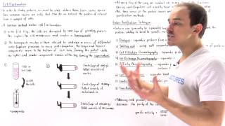 Cell Fractionation