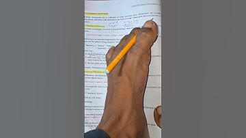 Python Developer #python #coding #study