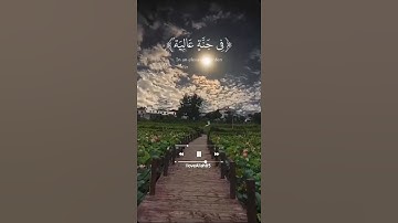 تلاوة سورة الغاشية بصوت عبدالرحمن مسعد #قرآن #سورة_الغاشية #يوتيوب #اكسبلور #عبدالرحمن_مسعد ❣️✨🫀💝😍💐