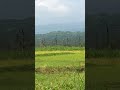 ইন্ডিয়া বিএসএফ মটস সাইকেল নিয়ে#entertainment #amazing #funny