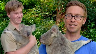 I Cuddled Koalas With Robert Irwin