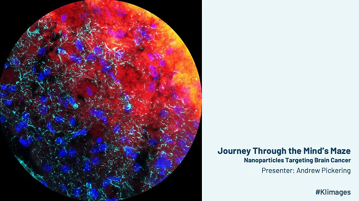 2024 Image Awards Lightning Talks - Journey Through the Mind's Maze