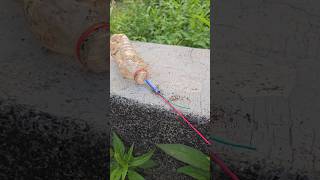 Experiment Fireworks in bottle 😱 #experiment #firecracker #fireworks #experimnent
