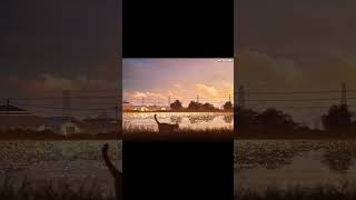 Riverside Evening  #aftereffects #photoshop #cat #sunset #animation