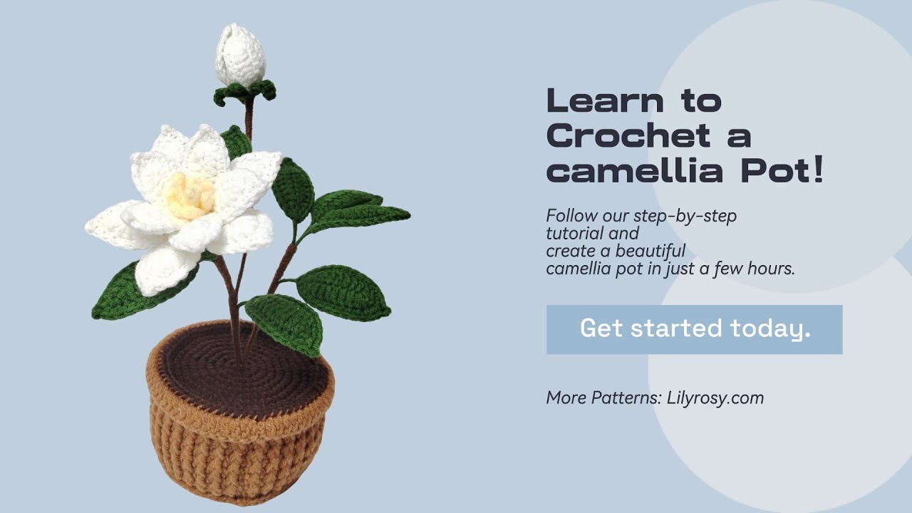 How to crochet flower pot / Lilyrosy