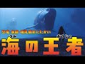 【海の王者】恐竜・魚類・哺乳類の戦い