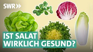 Gartensalate, Bittersalate & Co. – das steckt wirklich drin | Marktcheck SWR by SWR Marktcheck 44,077 views 2 weeks ago 7 minutes, 41 seconds
