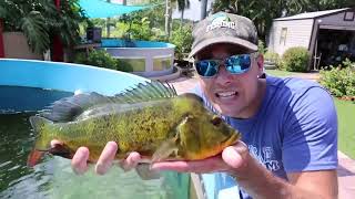 RAWWFishing! Minecraft Bow Catches Monster Fish