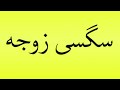 Pronunciation Of سگسی زوجه Pronunciation Of سگسی زوجه