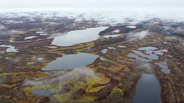 У Полярного круга