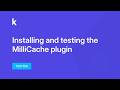 MilliCache - installing, testing and comparing it to the LiteSpeed Cache plugin