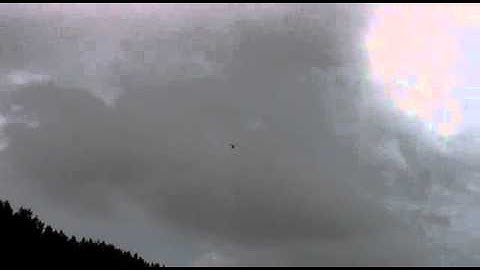 Align TREX 600 DFC MSH Brain AutoLevel not working properly