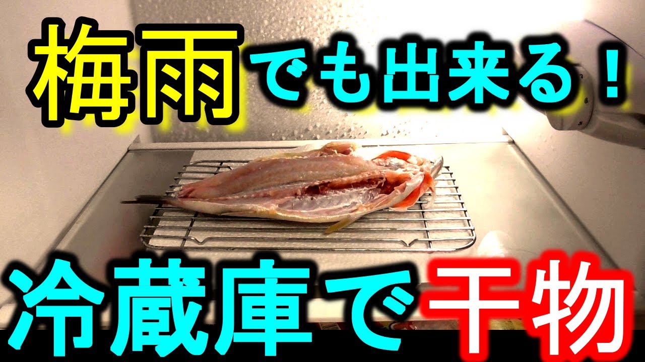 イサキの一夜干し おうちで簡単 冷蔵庫での干物の作り方 Youtube