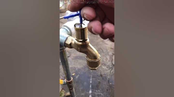 Jab Dolphin trick Me Hui Gadbad  ( 🎥_@umer2m )