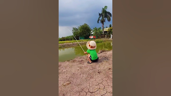 chiều nay em đi câu cá
