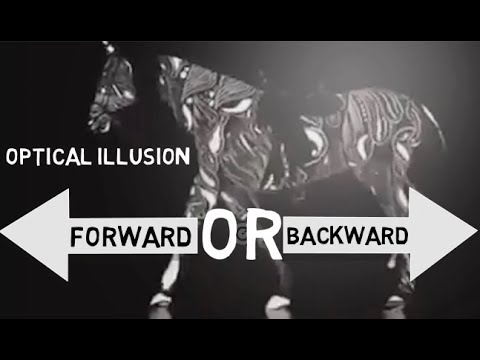 Whether you see a horse walking forward or backward