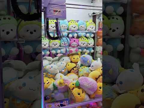hướng dẫn phân