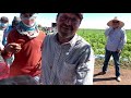 Ceviche para los trabajadores del campo