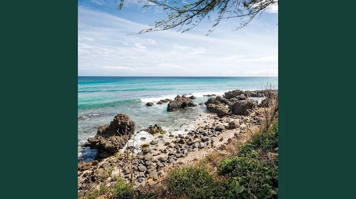 Funny Weldon Spice Ramsey 3r52951 Haiti nature