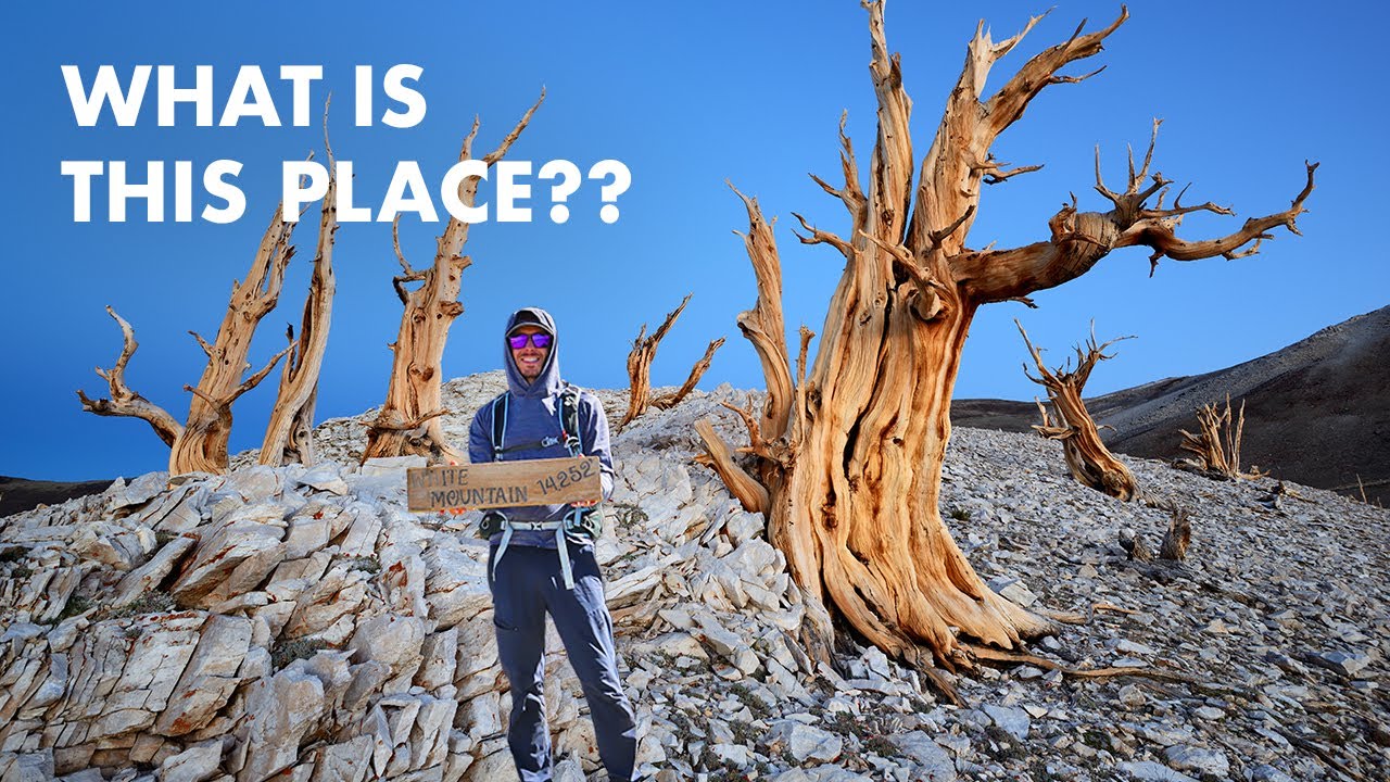 This Area Is an Overlooked Gem of the American West! (SUV Camping/Vanlife Adventures)