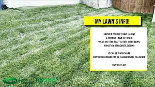 A Tour Of My Trugreen Lawn
