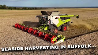 4Kᵁᴴᴰ Harvest 2025: John Collen's Claas Lexion 8800 Convio 1380 header by the coast near Walberswick