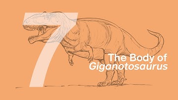 07 The Body of Giganotosaurus | Join ZHAO Chuang in Drawing Lucas the Giganotosaurus