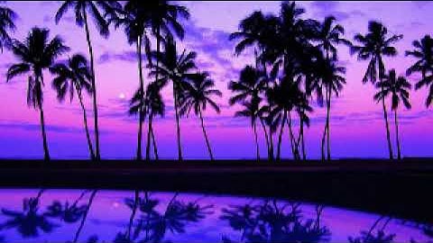 Traducción de Surah Al-Hashr al español - ترجمة سورة الحشرالى اللغة الاسبانية