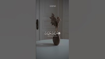 سورة المؤمنين #islamic #quran #هاشتاق #quranquotes #quran_kareem #allah #قرآن #explore #explorepage