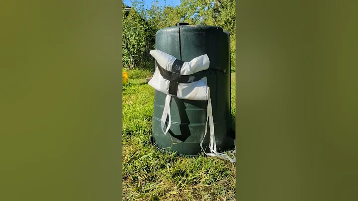 airguns for self defense. Felony capable