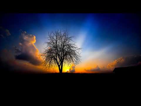 Blank & Jones - Where You Belong (Sied Van Riel Remix)