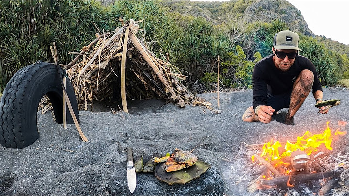 3 DÍAS de supervivencia SOLO(SIN COMIDA,SIN AGUA,SIN REFUGIO) una isla sólo un CUCHILLO DE BOLSILLO