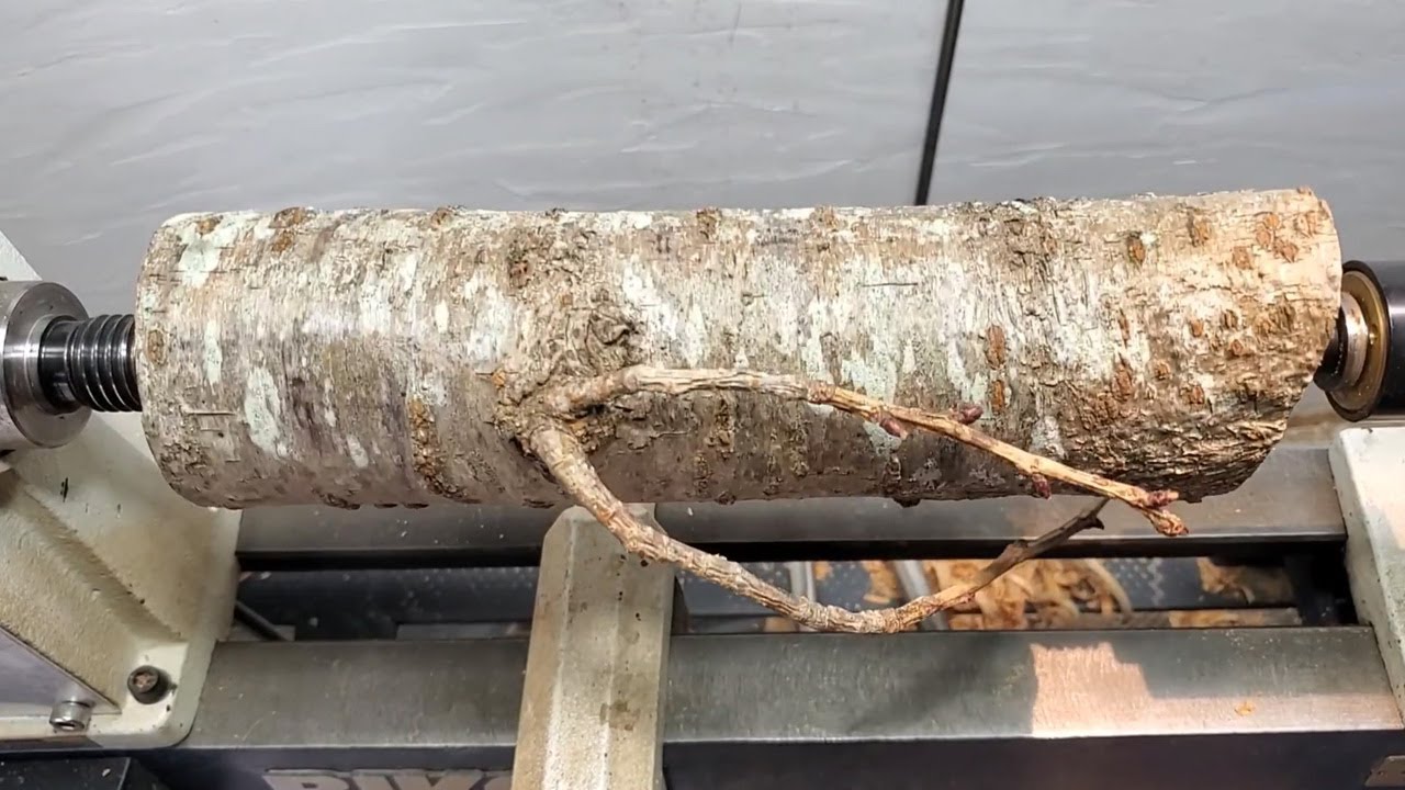 Turning Wood Log Into DIY Home Decor Flowers - YouTube
