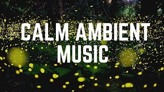 Calm Ambient Music Beautiful Fireflies in Motion