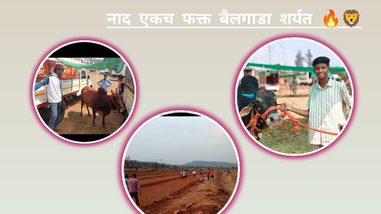 बैलगाड शर्यत ☠️😈| Funny vlog 😅