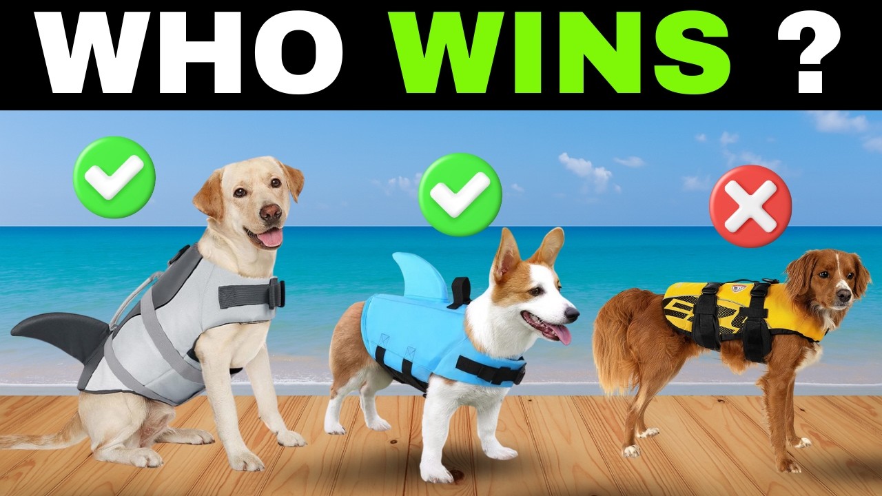 ✅ 7 Best DOG LIFE JACKETS for Swimming on Amazon [2026] 🐕 Float Coats for Dogs