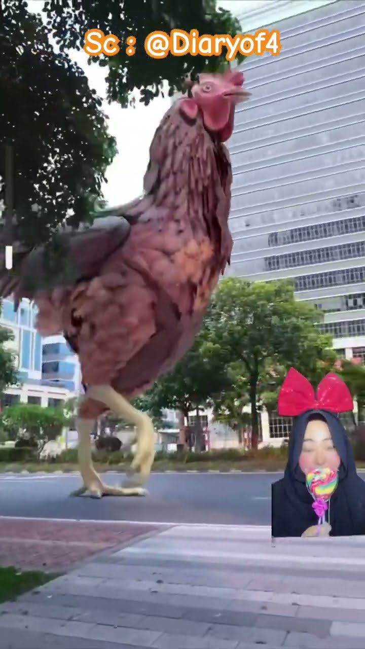 HAI AKU AYAM RAKSASA ⁉️?? @Diaryof4 #shorts #funny #dubbing