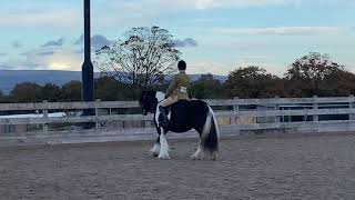 THE PINKPRINT - Ridden Gypsy Cob winning Individual.