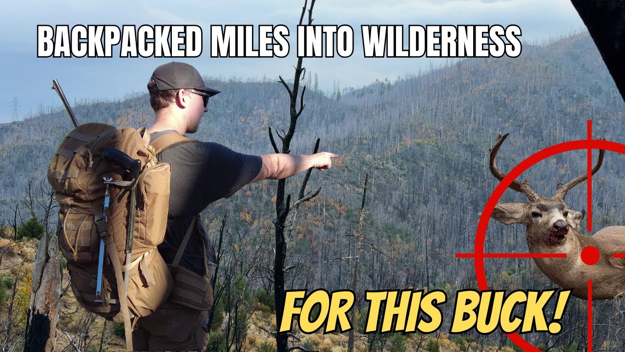 Backpacked Miles Into Wilderness for THIS Buck | Solo Public Land Hunt